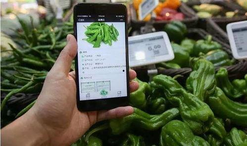 网红吃瓜微信扫码,揭秘微信扫码背后的秘密与狂欢!” 第2张 网红吃瓜微信扫码,揭秘微信扫码背后的秘密与狂欢!” 第2张