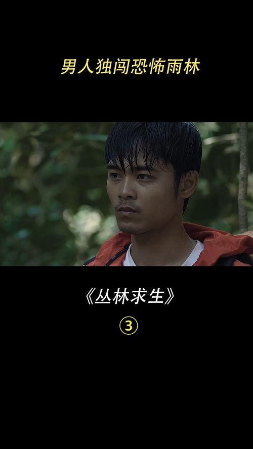 密林 电影在线观看,揭秘神秘森林的惊悚之旅 第1张 密林 电影在线观看,揭秘神秘森林的惊悚之旅 第1张